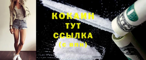 тгк Няндома