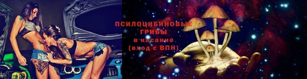 гидропоника Нязепетровск