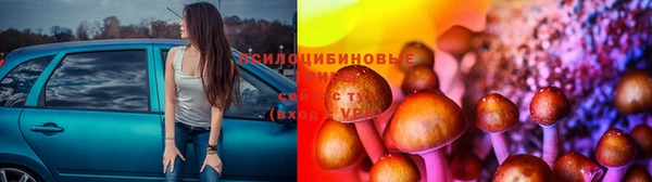 гидропоника Нязепетровск