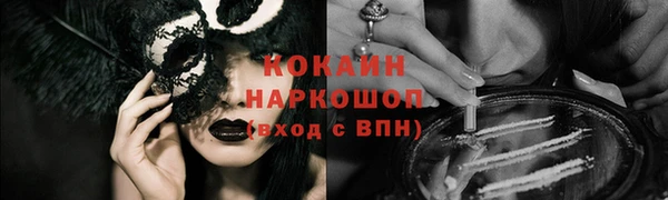 тгк Няндома