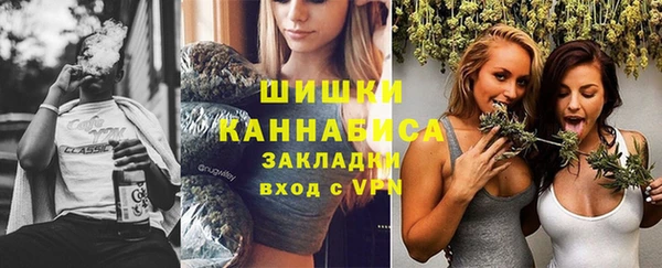 ешки Осинники