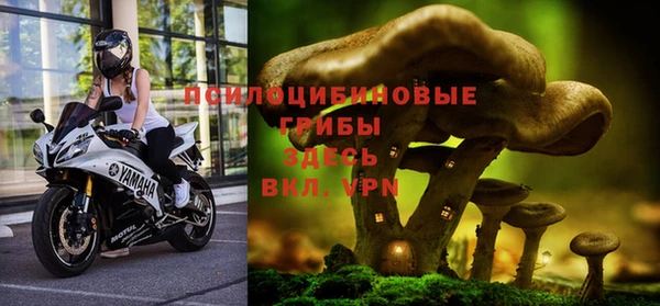 тгк Няндома