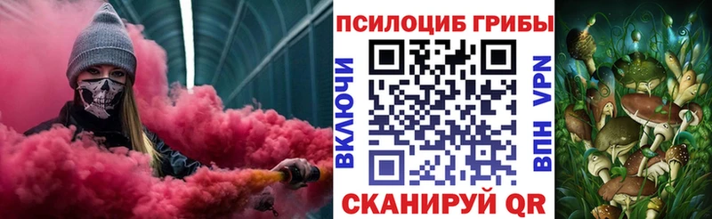 OMG   где найти   Кемь  Псилоцибиновые грибы Cubensis 