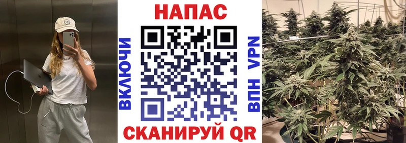 Бошки марихуана план  mega зеркало  даркнет Telegram  Кемь 