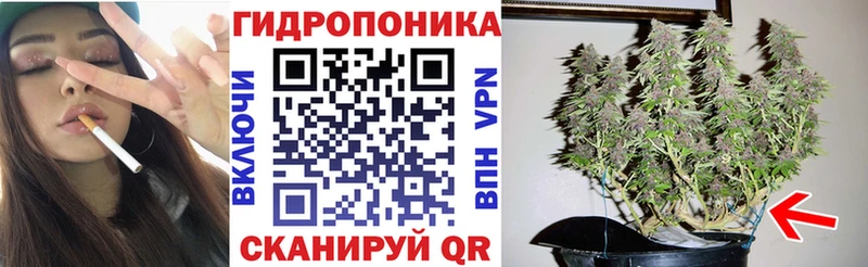 Конопля планчик Кемь